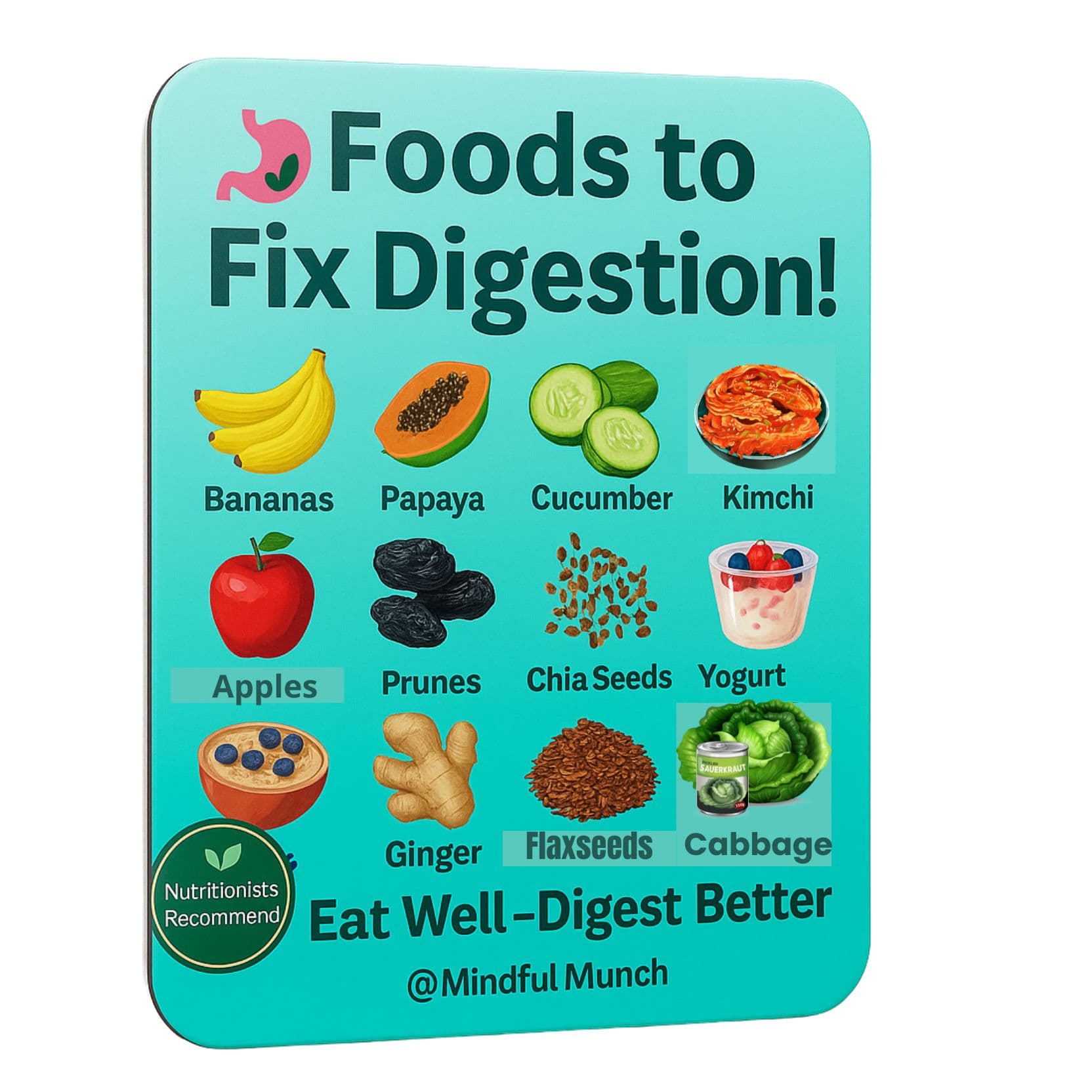 Digestive Health Magnet